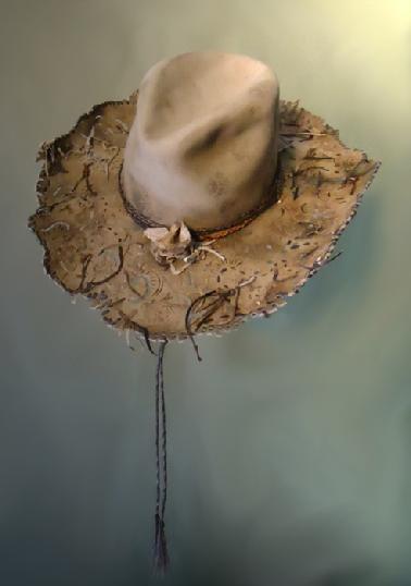100 x beaver hand made hat with stampede string of horse hair