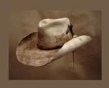 100 X Beaver original art hat