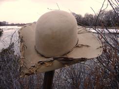50 ~ 100 X Beaver original concept hat