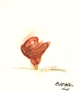 Young Chicken Geclee Print